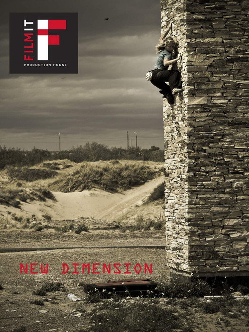 Movie poster for New Dimension (2011)
