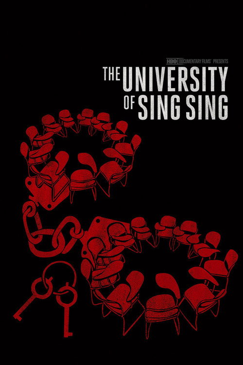 Movie poster for The University of Sing Sing (2011)