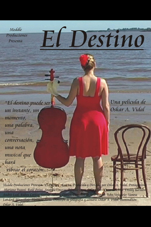 Movie poster for The Destiny (2010)