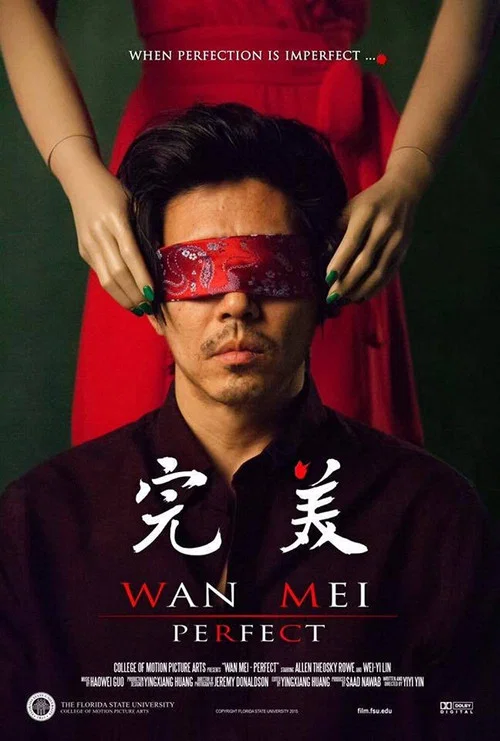 Movie poster for Perfect (2015)
