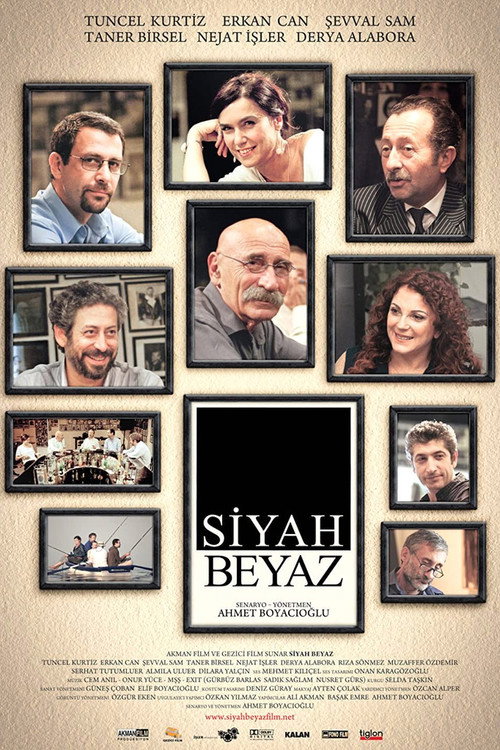 Movie poster for Black and White (2010)
