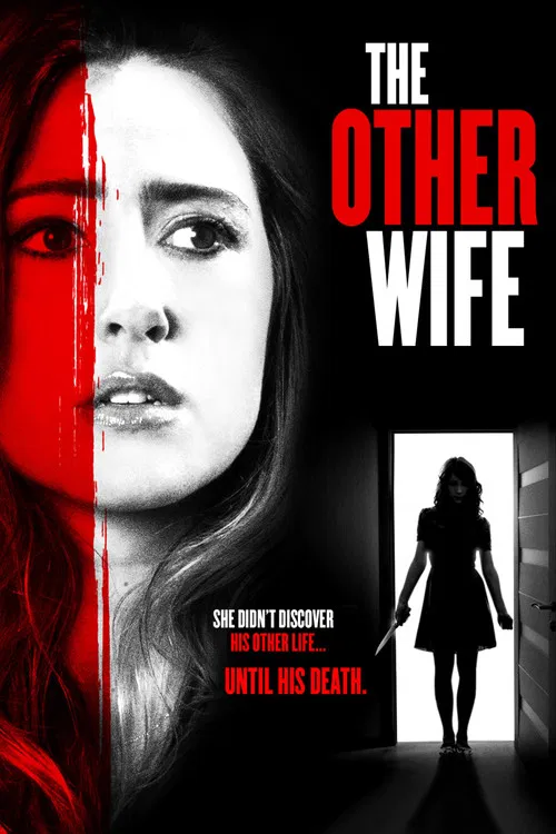 Movie poster for The Other Wife (2016)