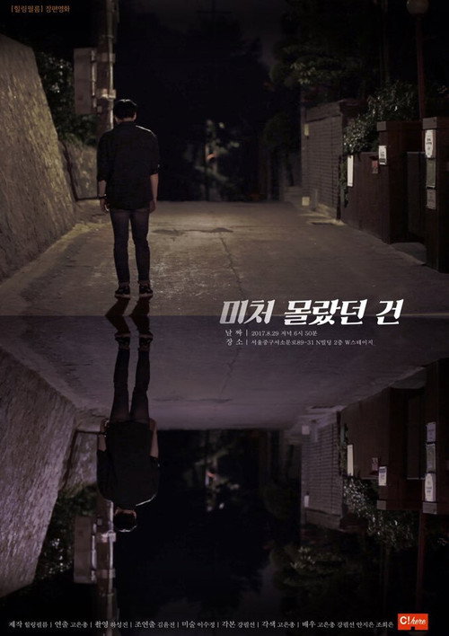 Movie poster for What I Didn't Know Was (2017)