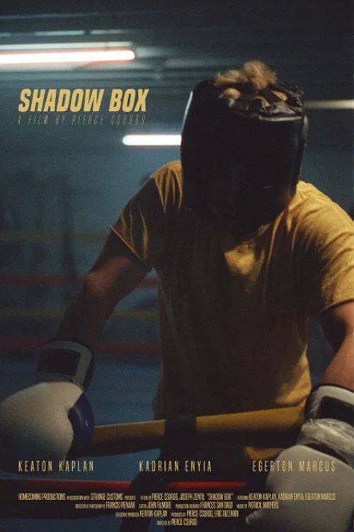 Movie poster for Shadow Box (2023)