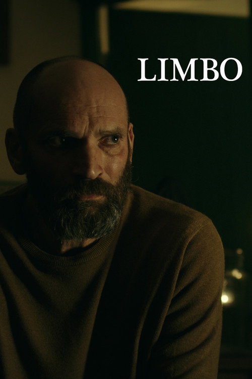Movie poster for Limbo (2019)