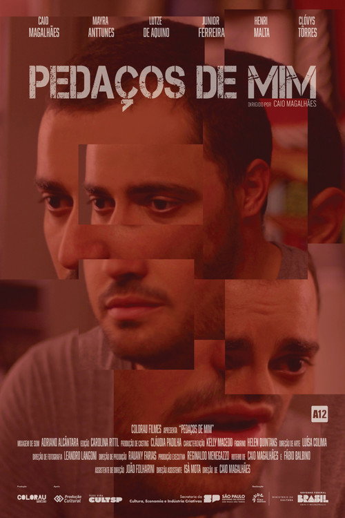Movie poster for Pedaços de Mim