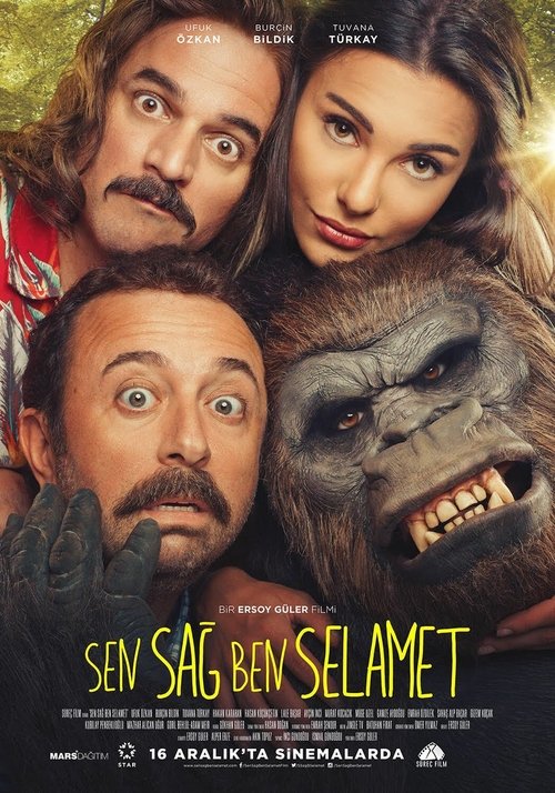 Movie poster for Sen Sag Ben Selamet (2016)