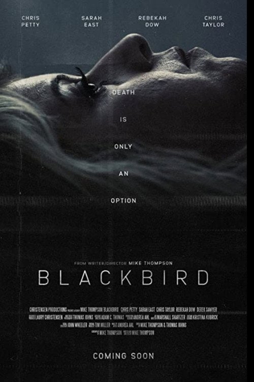 Movie poster for Blackbird (2020)