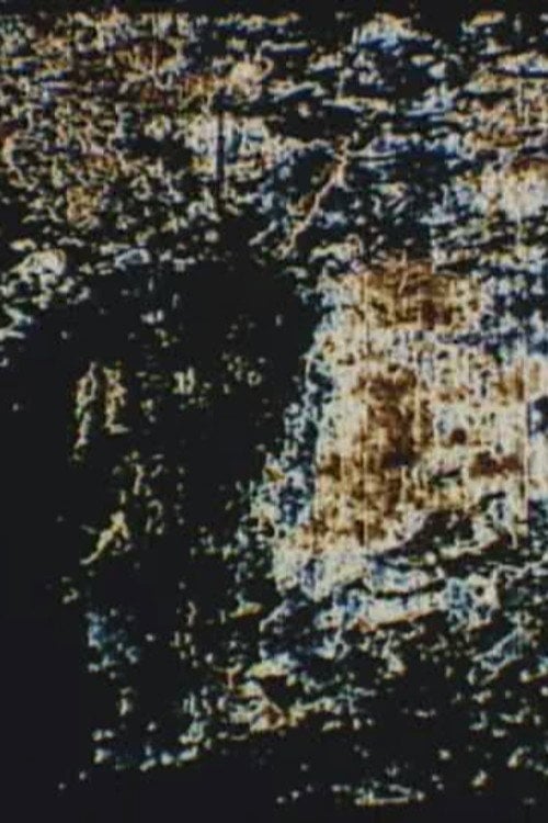 Movie poster for Two Pictures (1999)