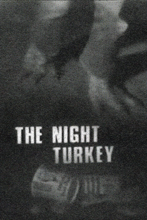 Movie poster for The Night Turkey (1973)