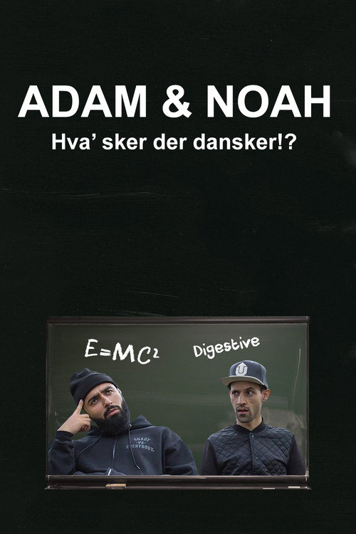 Movie poster for Adam & Noah: Hva' Sker Der Dansker!? (2017)