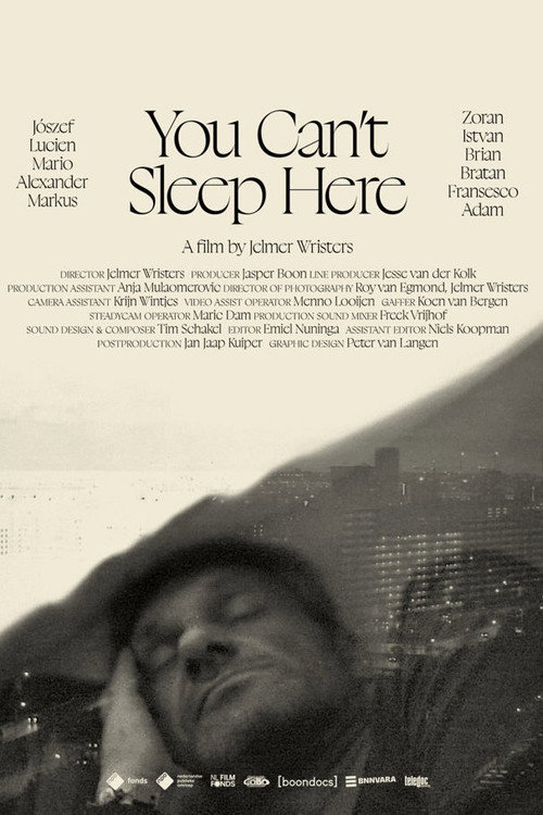 Movie poster for You Can't Sleep Here (2023)