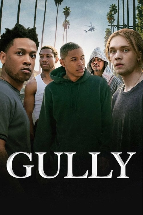 Movie poster for Gully (2021)