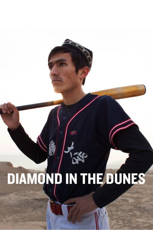 Movie poster for Diamond in the Dunes (2014)
