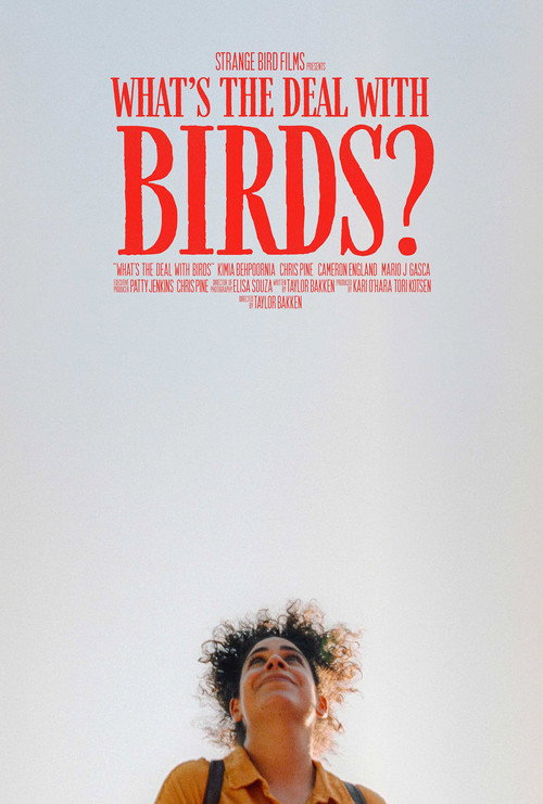 Movie poster for What's The Deal With Birds? (2025)