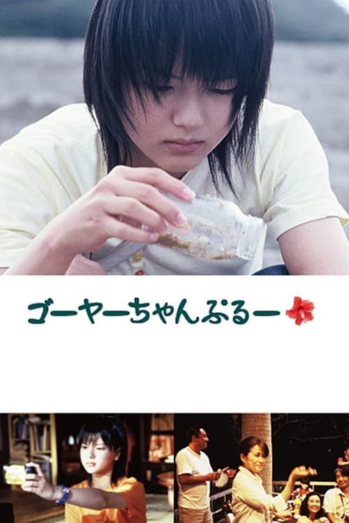 Movie poster for Island of Light (2006)