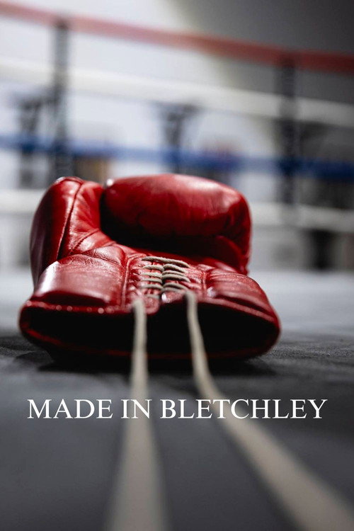 Movie poster for Made in Bletchley