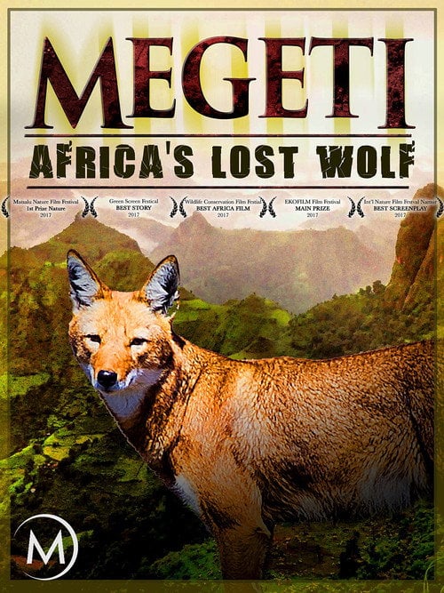 Movie poster for Megeti - Africa's Lost Wolf (2016)