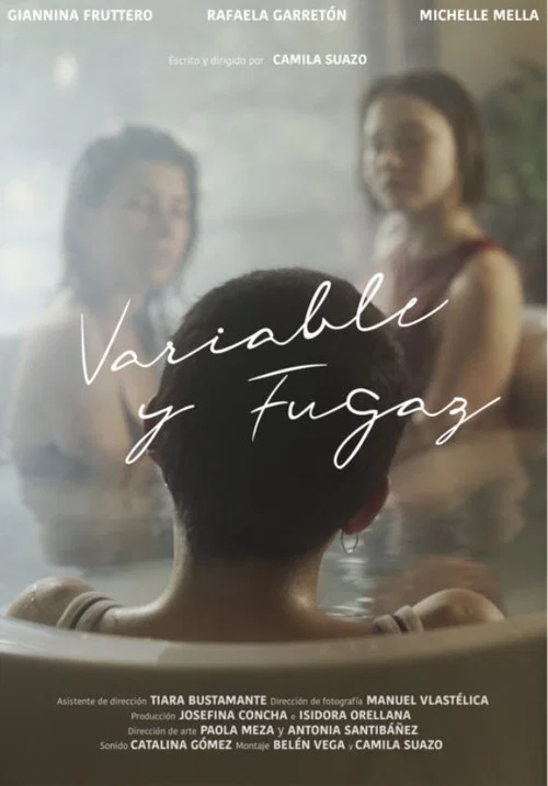 Movie poster for Variable and Fleeting (2020)
