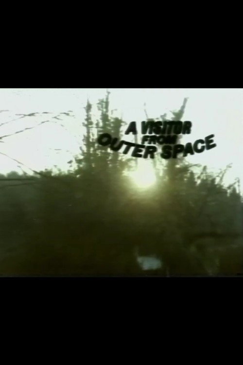 Movie poster for A Visitor from Outer Space (1983)