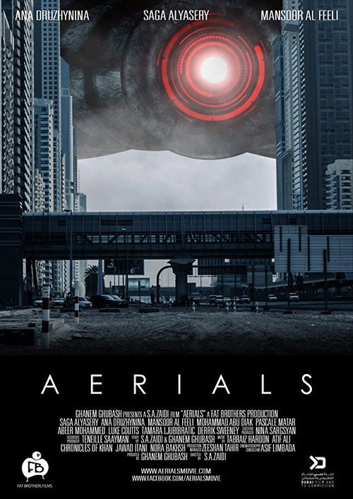 Movie poster for Aerials (2016)