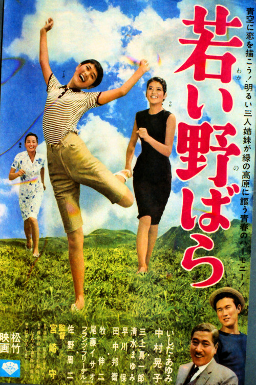 Movie poster for Wakai nobara (1965)