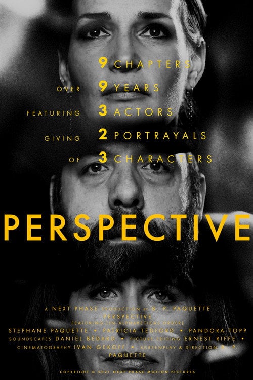 Movie poster for Perspective