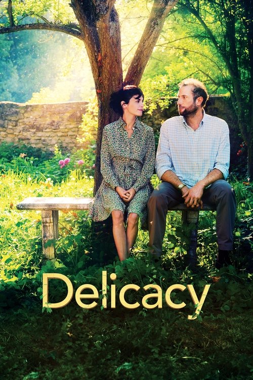 Movie poster for Delicacy (2011)