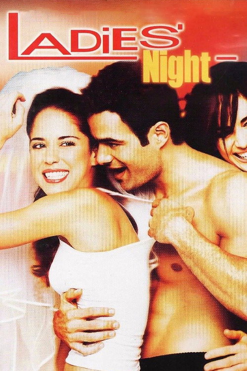 Movie poster for Ladies' Night (2003)