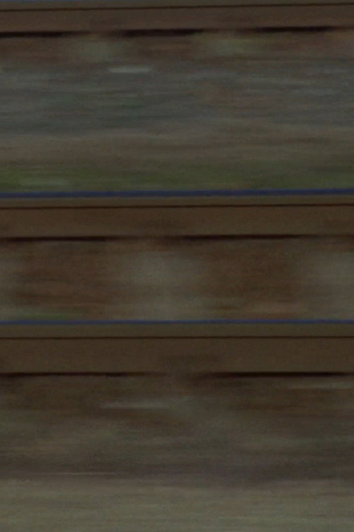 Movie poster for Commute (2025)
