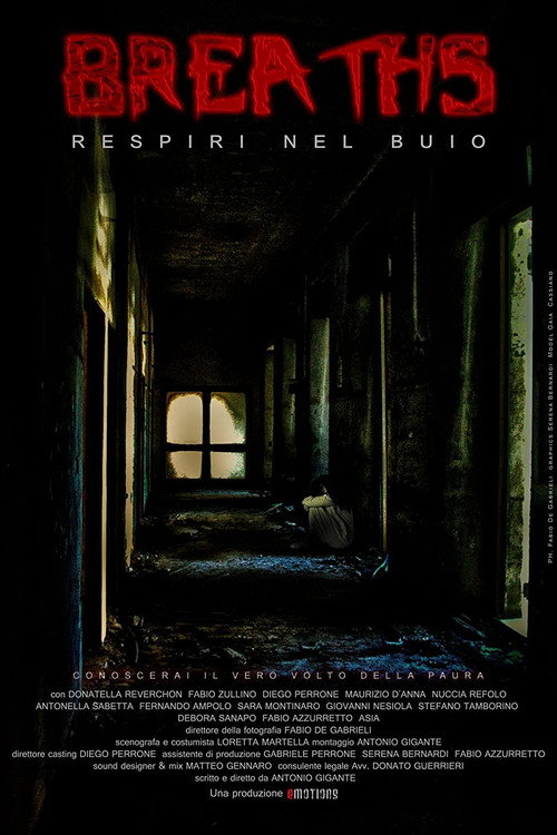 Movie poster for Breaths: Breathe in the Dark (2011)