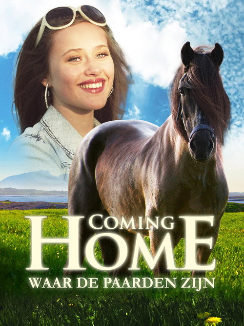 Movie poster for Coming Home (2011)