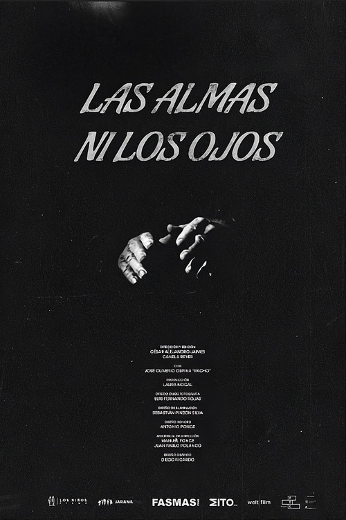 Movie poster for Las almas ni los ojos (2026)