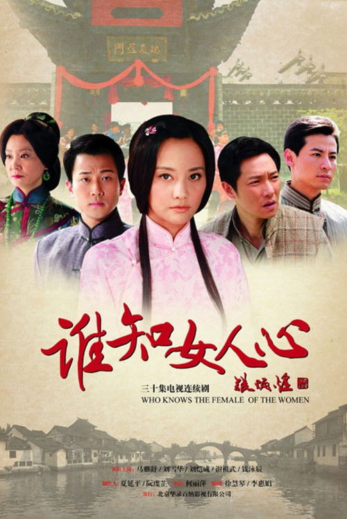谁知女人心 poster