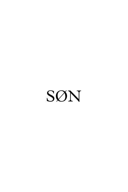 Movie poster for Son (2014)