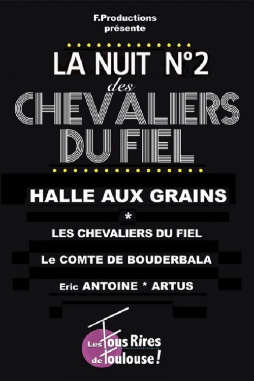 Movie poster for Les Chevaliers du Fiel : La nuit des Chevaliers du Fiel n°2 (2015)