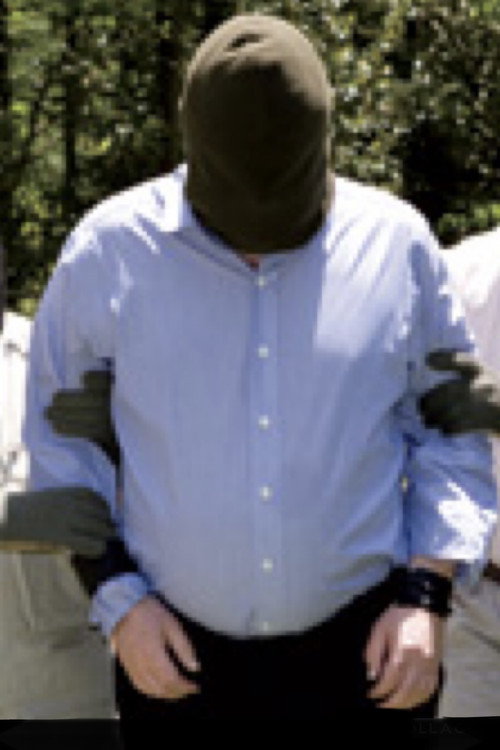 Movie poster for Christopher Hitchens: Believe Me, It's Torture (2008)