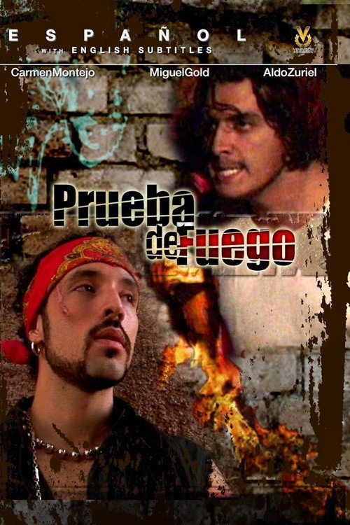 Movie poster for Las Ladrilleras (2006)