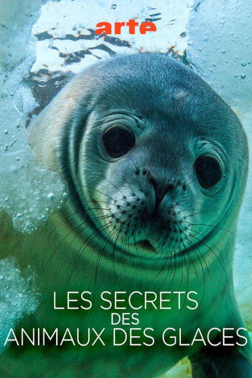 Movie poster for Les Secrets des Animaux des Glaces (2017)