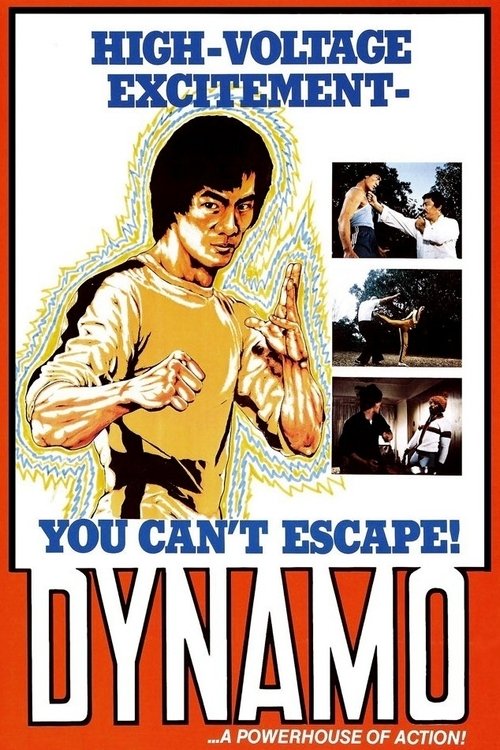 Movie poster for Dynamo (1978)