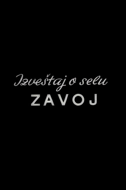 Movie poster for Report from the Zavoj Village (1963)