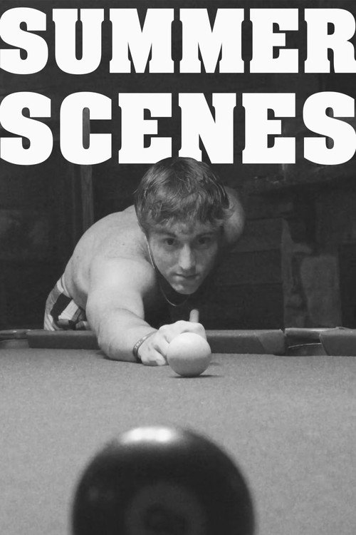 Movie poster for Summer Scenes