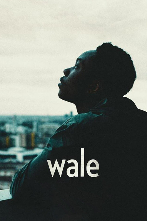 Movie poster for Wale (2018)