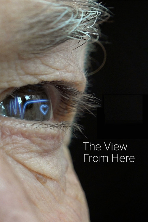 Series poster for The View from Here (2018)
