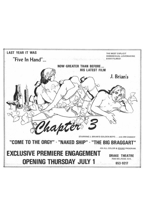 Movie poster for Chapter 3 (1971)
