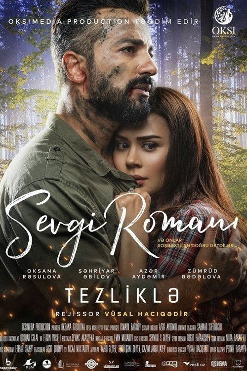 Movie poster for Romance Novel (2020)