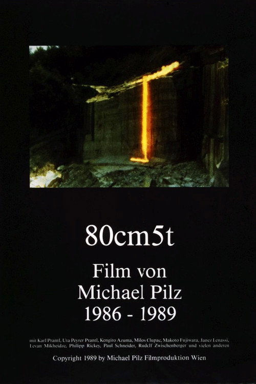 Movie poster for 80cm 5t (1989)