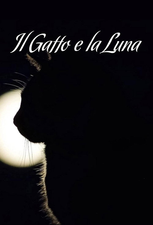 Movie poster for The Cat & the Moon (2019)