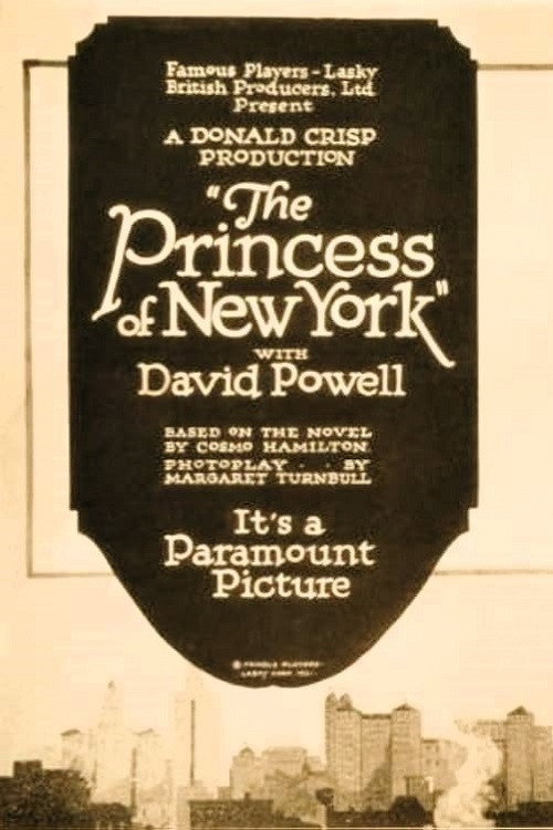 Movie poster for The Princess of New York (1921)