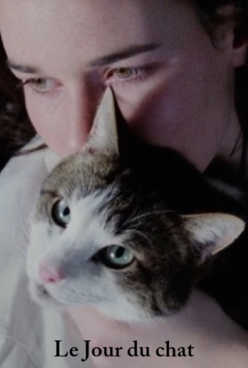 Movie poster for The Day of the Cat (1991)